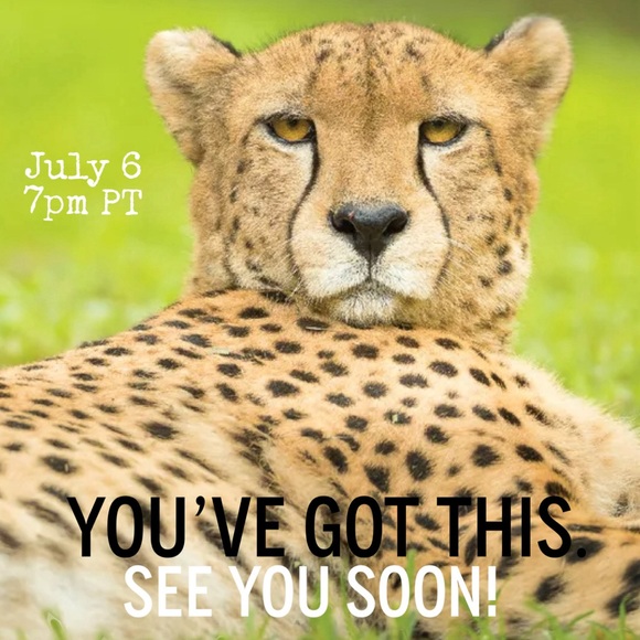 That’s a Wrap!! Thank You!! XOXO - Picture 7 of 9